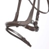 Kavalkade Bridle Ivy