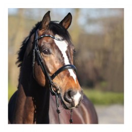Kavalkade Bridle Ivette