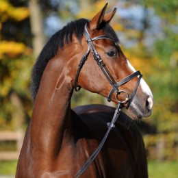 Kavalkade Bridle SH4 Ella
