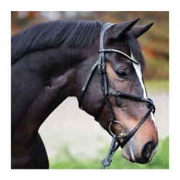 Kavalkade Bridle Lucia Mexican Noseband