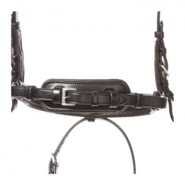 Kavalkade Bridle Ayana