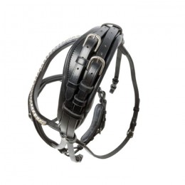 Kavalkade Bridle Fortuna