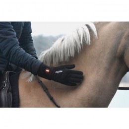 Aquito Heated Riding Gloves