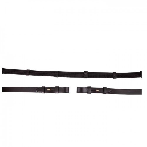BR Web Reins