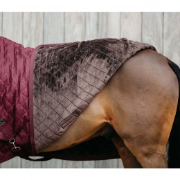 Kentucky Show rug 160g