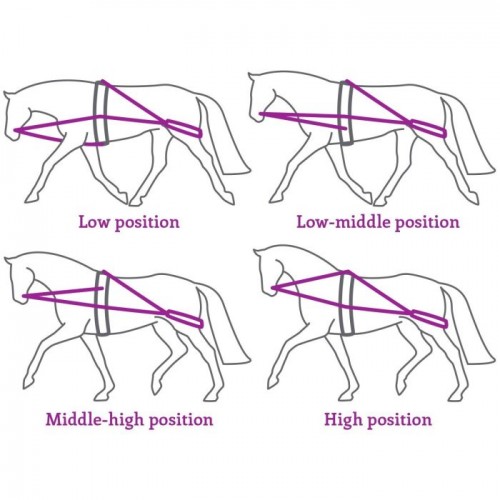 QHP Lunging aid rein