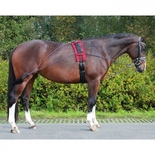 QHP Lunging aid rein