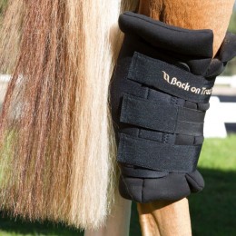 Back on Track Royal Heel Protector