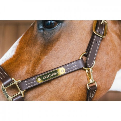 Kentucky Leather Halter Wellington