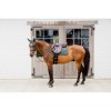 Kentucky 3D Logo Onion Quilt Jumping Saddle Pad