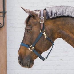 Kentucky Nylon Halter Breakaway