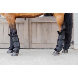 Kentucky Stable Boots PROtect Classic Hind