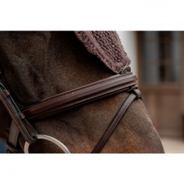 Kentucky Fly Veil Long