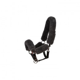 Mattes SS25 Bont Halter