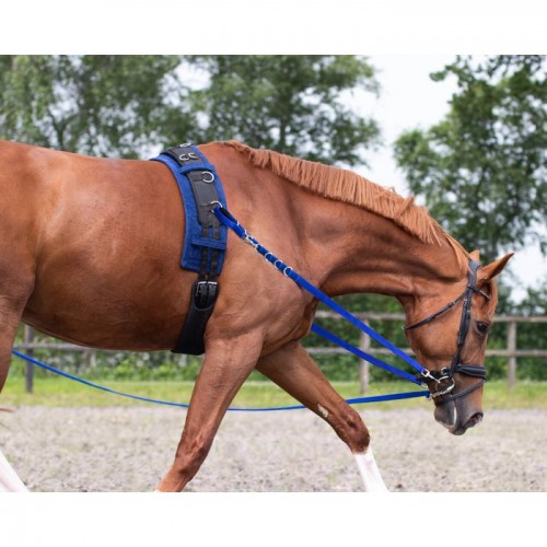 QHP Side Rein Color
