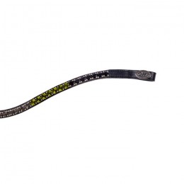 QHP FW'23 Browband Gradient Collection