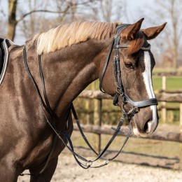 QHP Martingale Basic pro Zwart