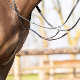 QHP Martingale Basic pro Zwart