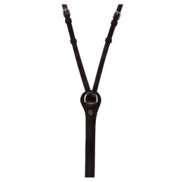 BR thiedemann reins Lancaster