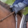 QHP Breastplate Handle