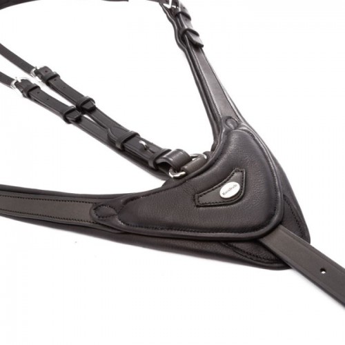 Cavalcade Martingale Azriel