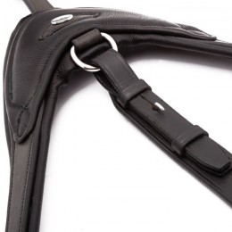 Cavalcade Martingale Azriel