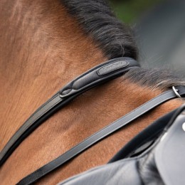 Cavalcade Martingale Azriel