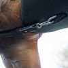 Cavalcade Martingale Azriel