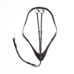 Cavalcade Martingale Azriel