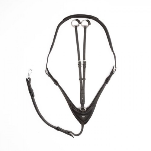 Cavalcade Martingale Azriel