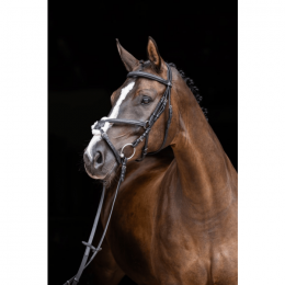Covalliero Mexican Bridle