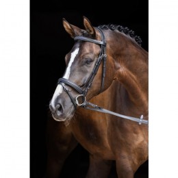 Covalliero Snaffle Bridle Classic