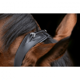 Covalliero Bridle Anatomical