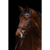 Covalliero Bridle Anatomical