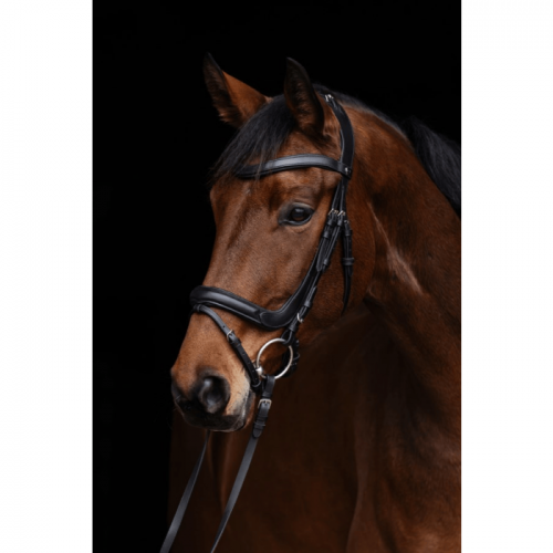 Covalliero Bridle Anatomical