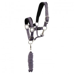 BR Mini Horse halter with rope