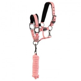 BR Mini Horse halter with rope