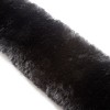 Kavalkade Proline Breastplate Protector