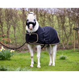 HB Showtime Harry and Hector Dutch Crown Showrug little sizes