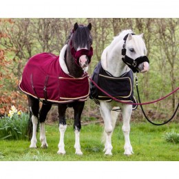 HB Showtime Harry and Hector Dutch Crown Showrug little sizes