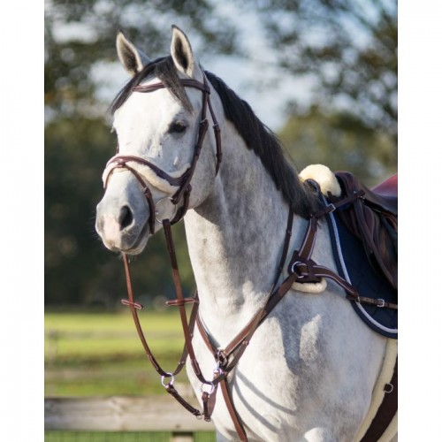 QHP Breastplate Ontario