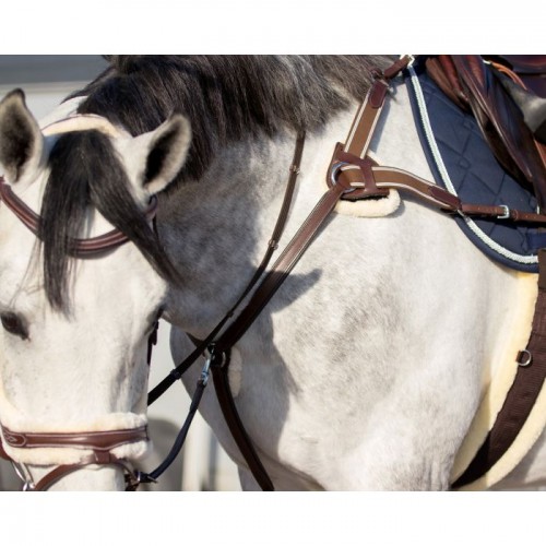 QHP Breastplate Ontario