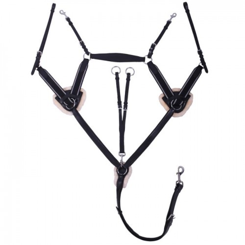QHP Breastplate Ontario