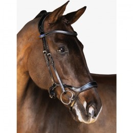 PS of Sweden Pioneer anatomical bridle