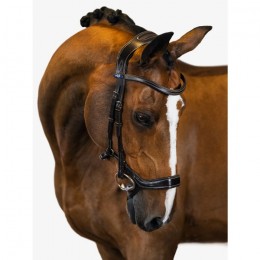 PS of Sweden Pioneer anatomical bridle