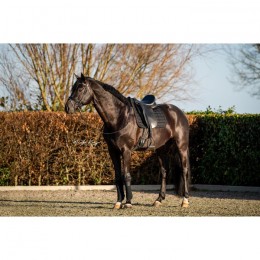 HB Showtime Saddlepad Glitty