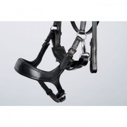 Harry's Horse Bridle Release