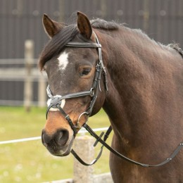 Harry's Horse Bridle Mexican