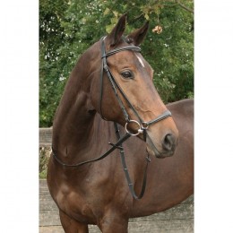 Harry's Horse drop noseband bridle