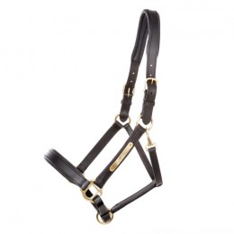 Kavalkade Leather Halter Cinta